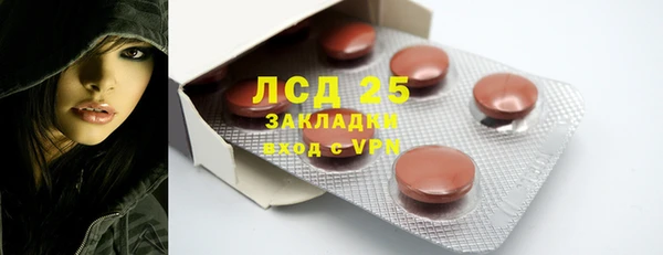 PSILOCYBIN Заводоуковск