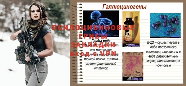 стафф Белоозёрский