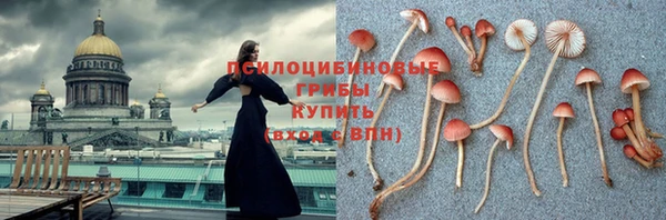 стафф Белоозёрский